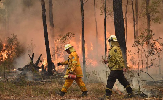 Australia chi tiền điều trị chấn thương tinh thần do cháy rừng gây ra