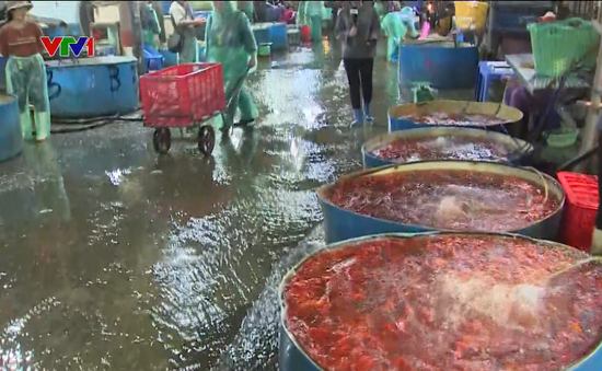 Không khí nhộn nhịp tại chợ cá lớn nhất Thủ đô dịp ông Công ông Táo