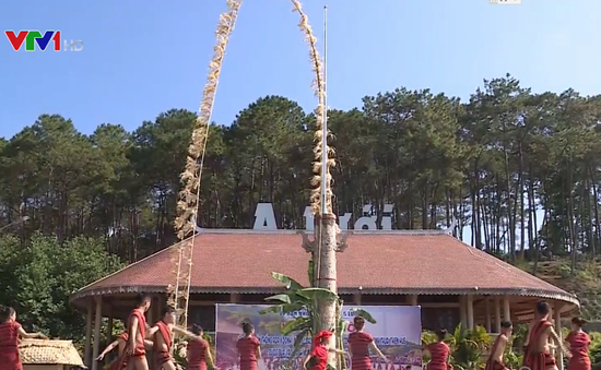 Sôi động lễ hội mừng lúa mới của đồng bào dân tộc Pa Cô