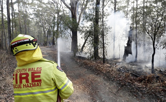 Khói mù do cháy rừng ở Australia lan sang New Zealand