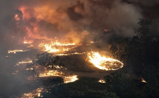 Thảm họa cháy rừng Australia qua các con số