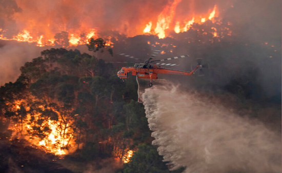 Australia bắt giữ hơn 180 người cố ý gây cháy rừng