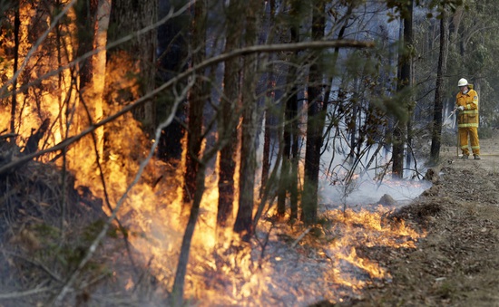 Truy tố 24 người cố ý gây ra cháy rừng tại Australia
