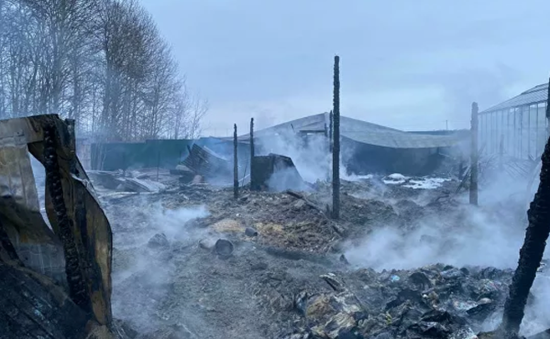 Vụ cháy trang trại ở Nga: Công tác khám nghiệm tử thi bắt đầu vào ngày mai (9/1)