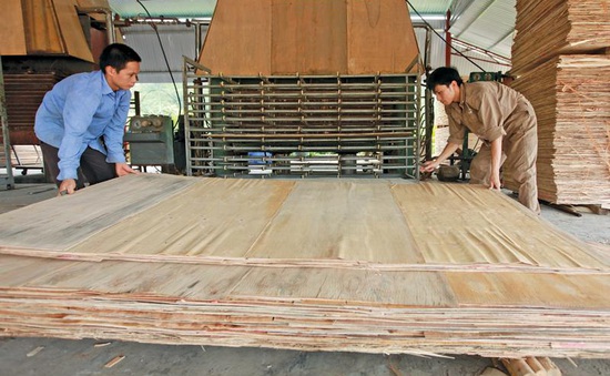 Doanh nghiệp Việt cần làm gì để vượt rào cản phòng vệ thương mại?