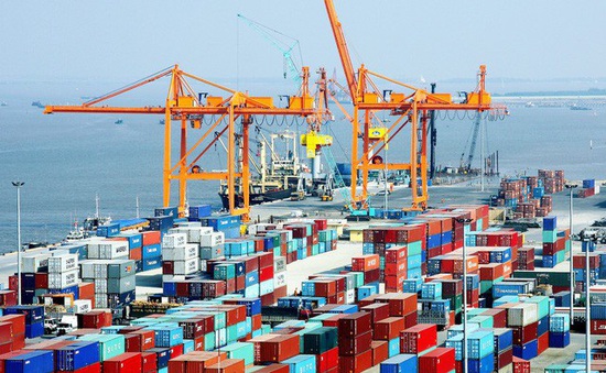 Bất chấp COVID-19, hàng hóa container qua cảng biển vẫn tăng mạnh