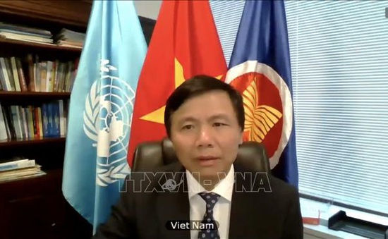 Việt Nam đề cao đối thoại, hòa giải trong giải quyết xung đột tại Congo
