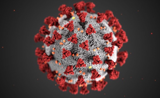 Virus SARS-CoV-2 đột biến nhạy cảm hơn với vaccine