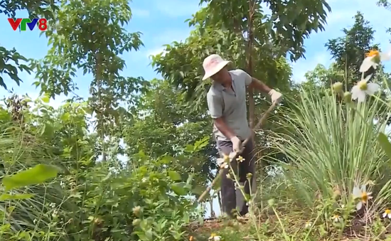 Đắk Lắk: Phát triển nông nghiệp gắn với du lịch sinh thái