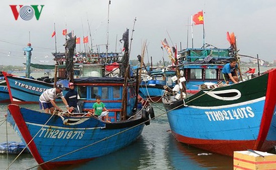 Chống khai thác bất hợp pháp, nâng cao trách nhiệm của ngư dân và doanh nghiệp