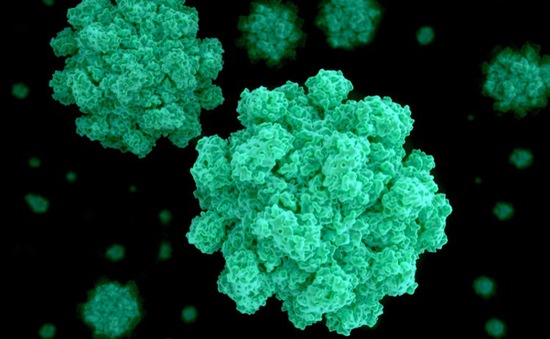 Phát hiện 200 ca nhiễm Norovirus từ một sòng bạc tại Mỹ