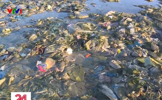 Bãi biển Bình Thuận trở thành bãi chứa hàng tấn rác thải