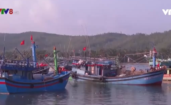 Bình Định đầu tư xây dựng cảng cá Tam Quan Bắc