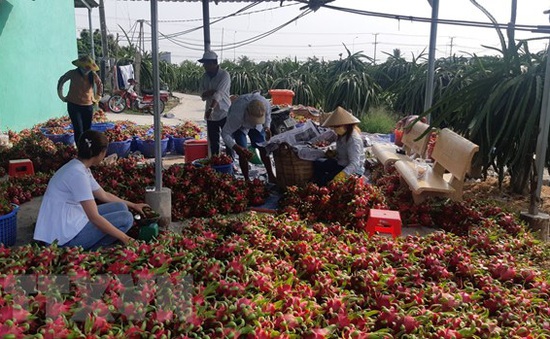 Đề nghị Trung Quốc mở cửa cho nhiều loại nông sản Việt