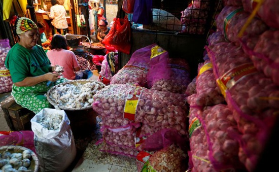 Indonesia mở cửa cho các mặt hàng hành, tỏi nhập khẩu