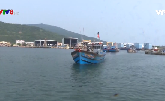 Đà Nẵng: Bắt 5 tàu cá có hành vi đánh bắt trái phép bằng bộ kích điện