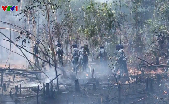 250 cán bộ, chiến sĩ tham gia chữa cháy rừng ở Phú Quốc