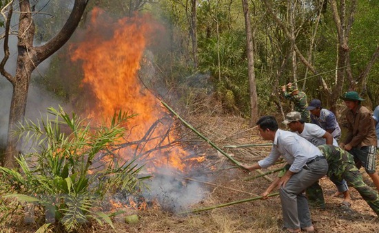 Cảnh báo cháy rừng ở Tây Nguyên, Nam Bộ và 2 tỉnh Ninh Thuận, Bình Thuận