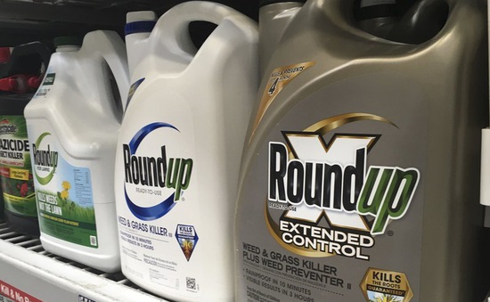 Bayer đạt thỏa thuận bồi thường liên quan đến thuốc diệt cỏ của Monsanto