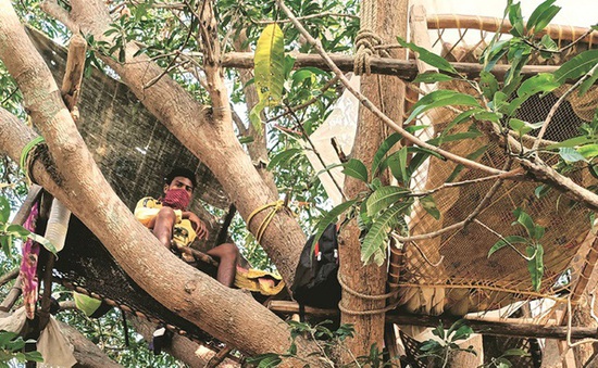 Nhóm người Ấn Độ tự cách ly trên cây để tránh lây virus