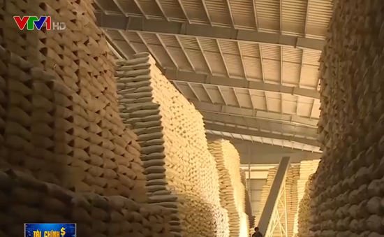 Lượng gạo dự trữ quốc gia chỉ chiếm 3% lượng gạo có thể xuất khẩu