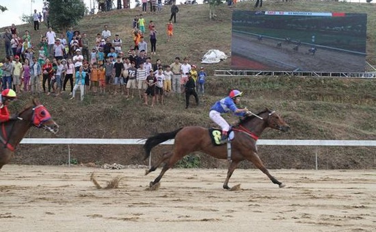 Đề nghị cho phép Trường đua ngựa Thiên Mã được kinh doanh đặt cược