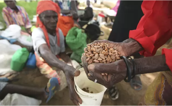 Hơn 19 triệu người Tây Phi sẽ rơi vào nạn đói trong 2 tháng tới