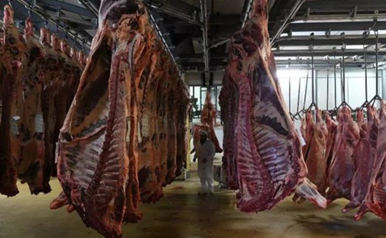 Phát hiện hàng trăm ca nhiễm COVID-19 tại các cơ sở chế biến thịt ở châu Âu
