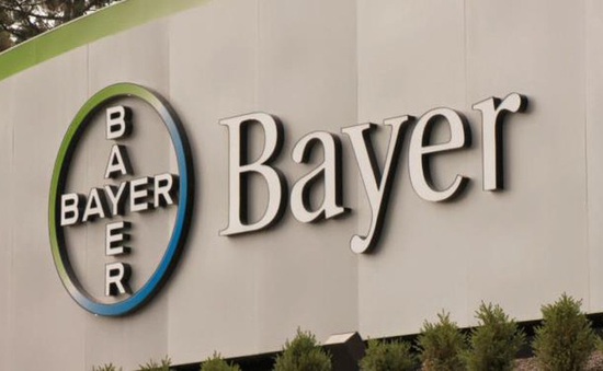 Đại lý của Bayer Việt Nam: “Chúng tôi thua lỗ nặng, có khi phải bán nhà”