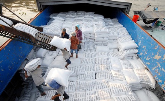 Giá gạo Việt xuất khẩu tăng lên mức cao nhất 2 tháng