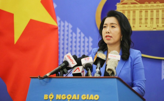 Việt Nam sẵn sàng phối hợp với nước sở tại bảo hộ công dân bị tạm giữ tại Malaysia và Indonesia