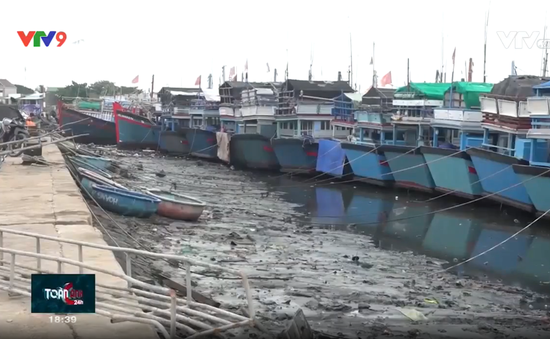 Khánh Hòa: Đầu tư cảng biển theo hướng chuyên biệt