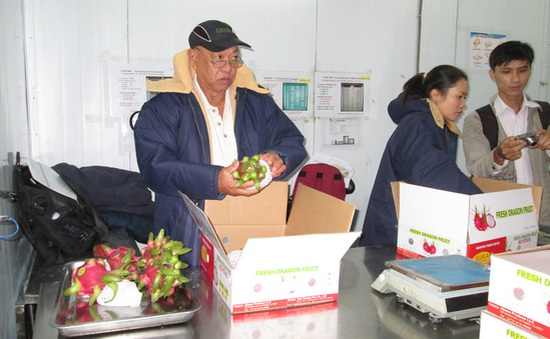Ngày 2/9, chuyên gia kiểm dịch xuất khẩu trái cây Hoa Kỳ sẽ đến Việt Nam