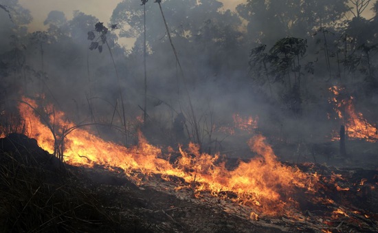 Cháy rừng Amazon lan rộng tại Brazil, đe dọa các khu rừng nguyên sinh