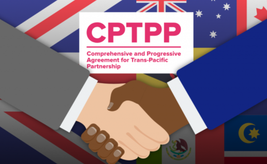 Anh và các nước thành viên thảo luận về việc gia nhập CPTPP