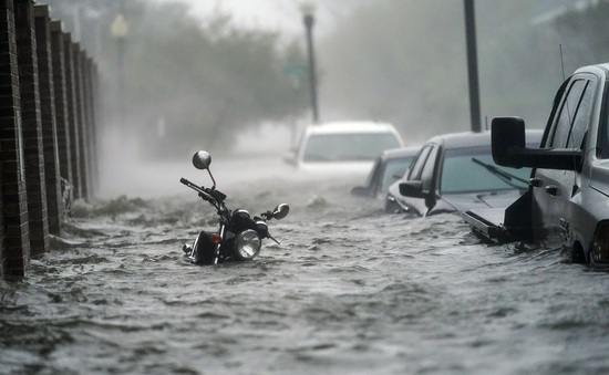 Bão Sally đổ bộ vào Mỹ gây ngập lụt nghiêm trọng