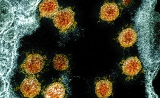Virus SARS-CoV-2 có thể tồn tại ở ngoài trời lâu hơn vào mùa thu