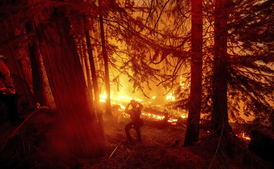Hỏa hoạn tại California (Mỹ) thiêu rụi diện tích rừng kỷ lục