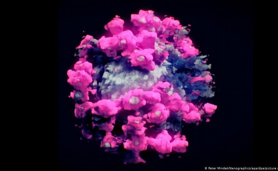 Lần đầu tiên chụp được ảnh 3D thực của virus SARS-CoV-2