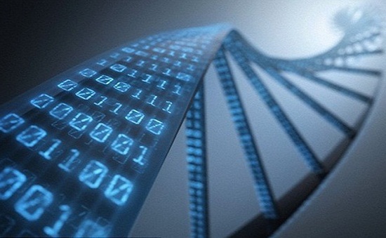 Pháp triển khai công nghệ lưu trữ bằng DNA