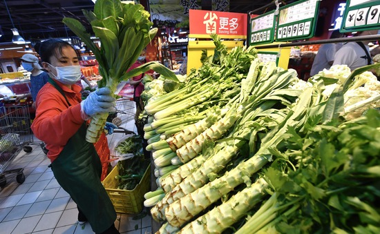 Giá rau tại Trung Quốc tăng mạnh, có loại đắt gấp đôi thịt lợn