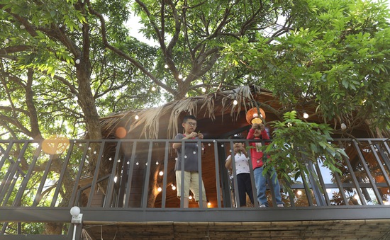 Xây nhà trên cây cho con vui chơi vào mùa dịch
