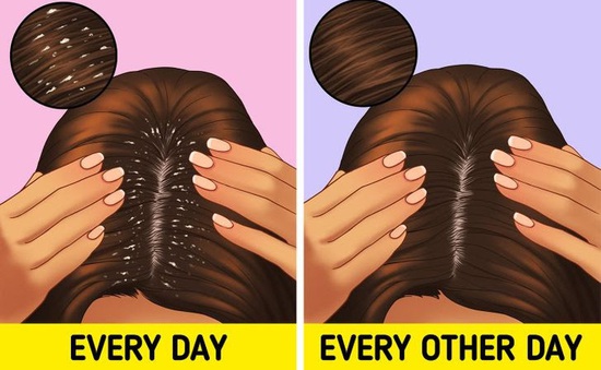 Bạn thường xuyên nhuộm tóc nhưng lo sợ sẽ làm hư tóc của mình? Hãy xem hình ảnh về thuốc nhuộm đầu mỗi ngày để tìm hiểu những loại sản phẩm chăm sóc tóc tốt nhất và mang lại cho bạn một mái tóc khỏe mạnh, bóng mượt.