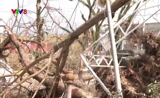 Hơn 200 người thiệt mạng do bão Rai tại Philippines
