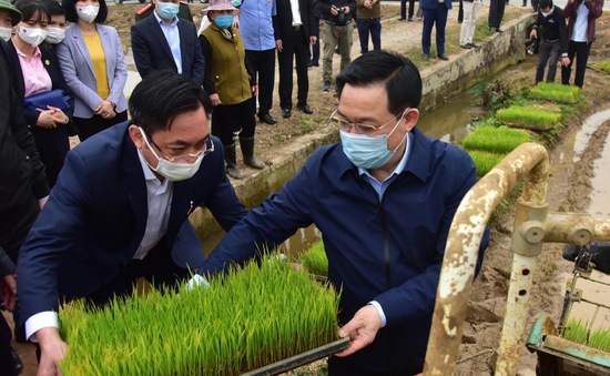 Bí thư và Chủ tịch TP Hà Nội xuống đồng động viên nông dân sản xuất