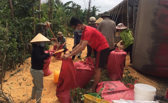 Bà Ria - Vũng Tàu: Hàng chục người dân hốt bắp hạt giúp xe tải bị lật