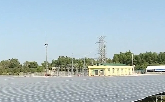 Khánh thành nhá máy điện mặt trời lớn nhất Hậu Giang