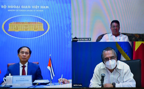 Việt Nam chia sẻ các biện pháp ứng phó COVID-19 với Cuba