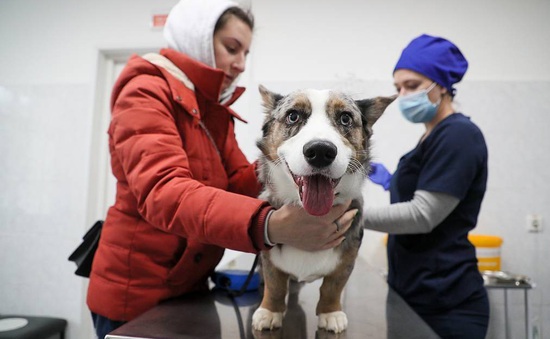 Nga đăng ký vaccine COVID-19 đầu tiên cho động vật