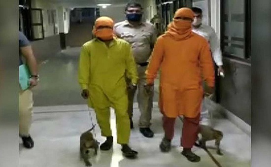 Bị bắt vì dùng khỉ để trộm tiền tại Ấn Độ